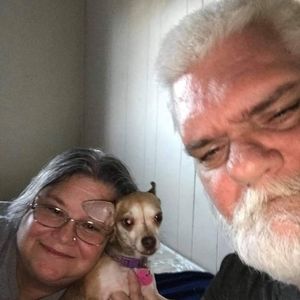 Meet your Posher, Janice